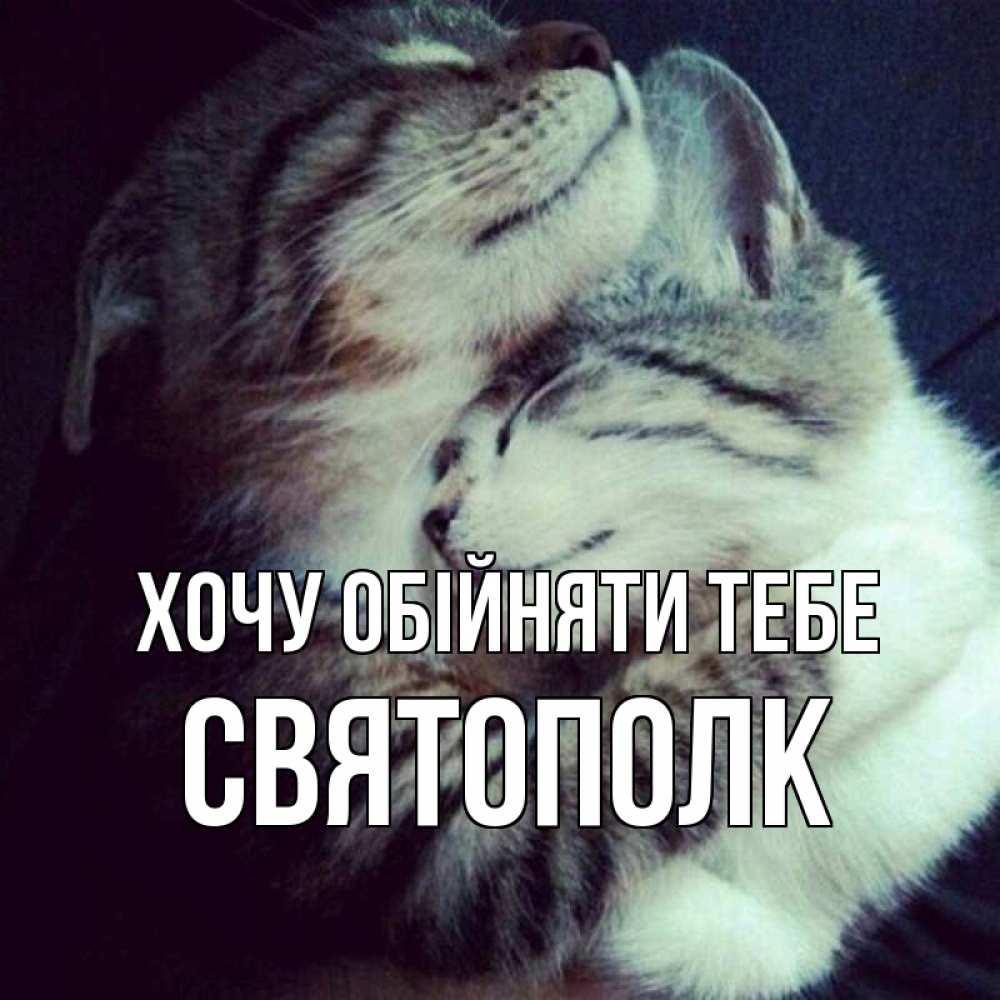 Открытка на каждый день з підписом, Святополк Хочу обійняти тебе полосатики Прикольна листівка з побажанням онлайн скачати безкоштовно 