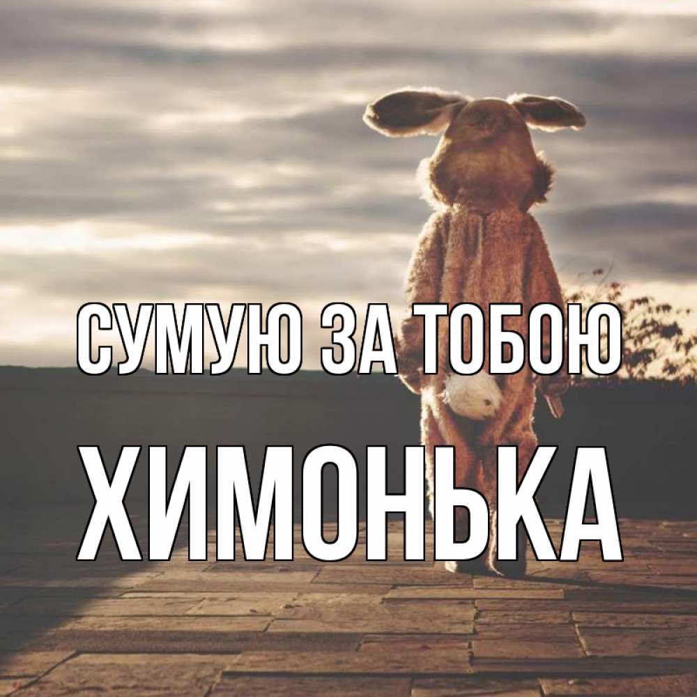 Открытка на каждый день з підписом, Химонька Сумую за тобою даже в костюме зайца Прикольна листівка з побажанням онлайн скачати безкоштовно 