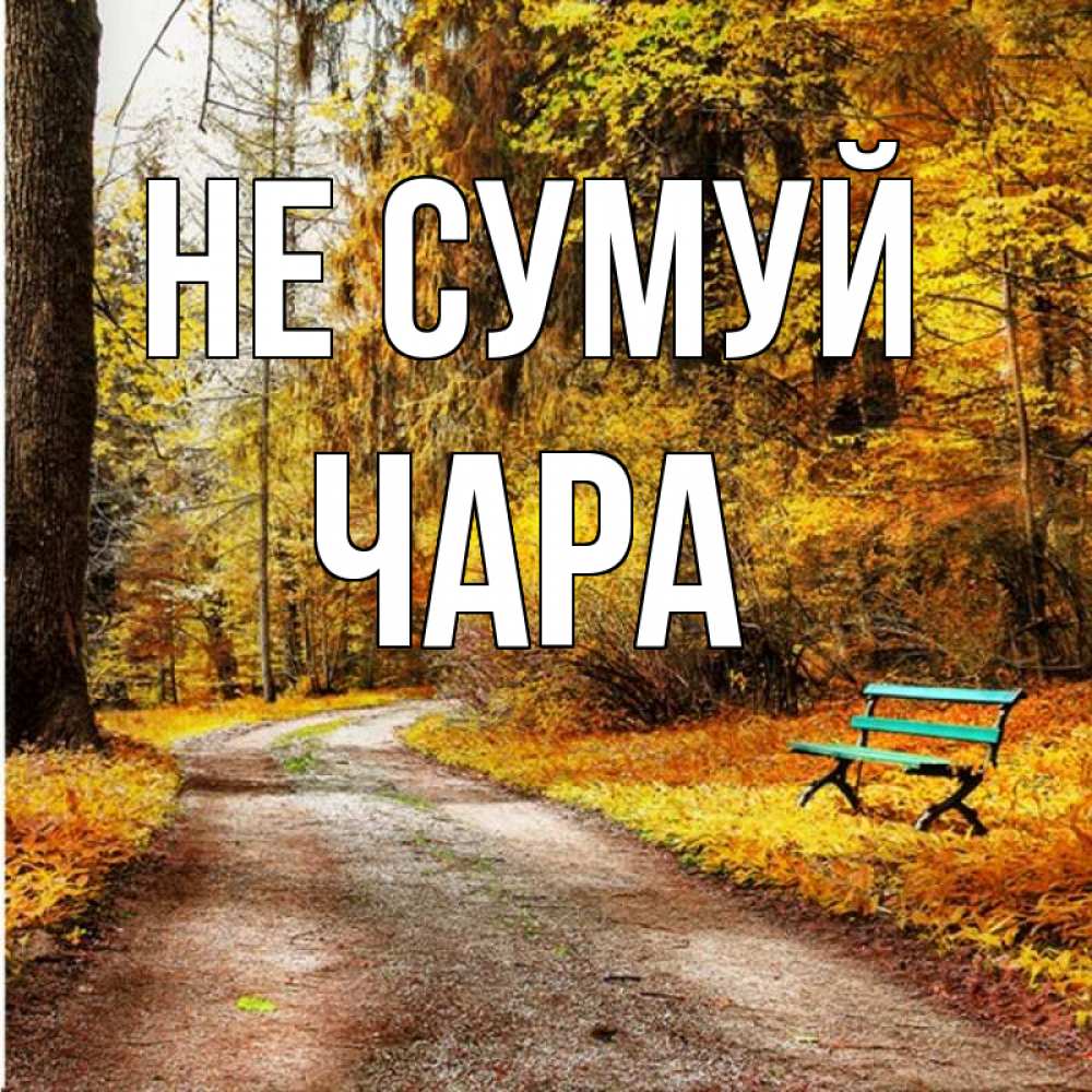 Открытка на каждый день з підписом, Чара Не сумуй зеленая лавочка Прикольна листівка з побажанням онлайн скачати безкоштовно 
