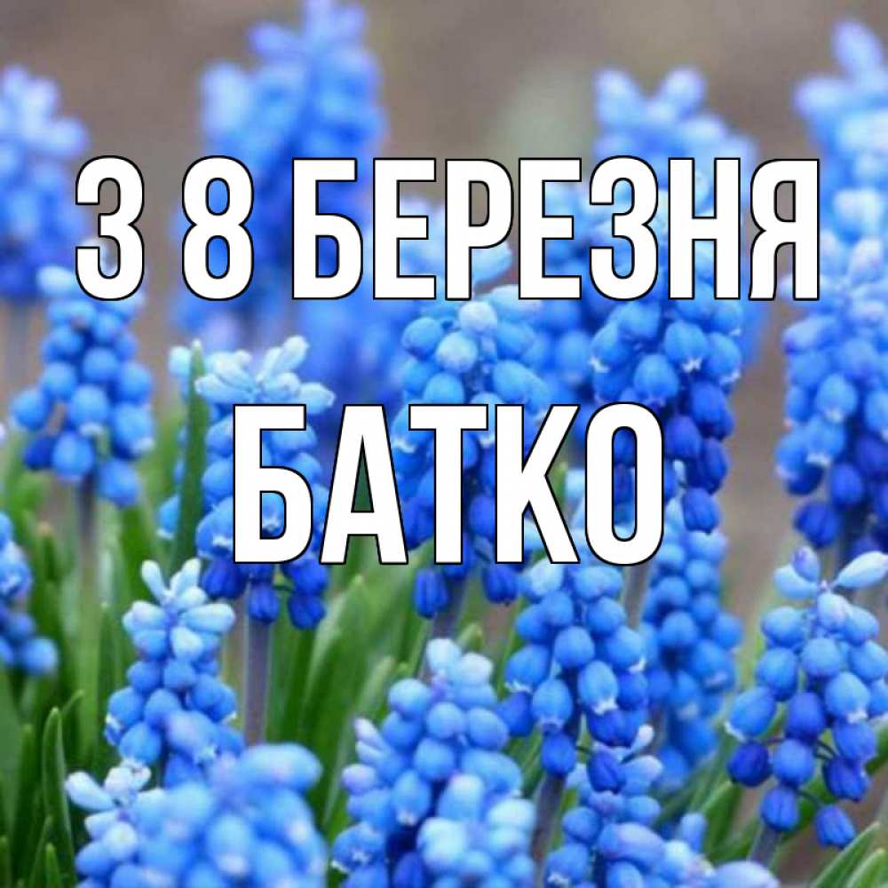 Открытка на каждый день з підписом, Батко З 8 БЕРЕЗНЯ Поздравительная открытка для женщин с цветами на праздничную дату Прикольна листівка з побажанням онлайн скачати безкоштовно 