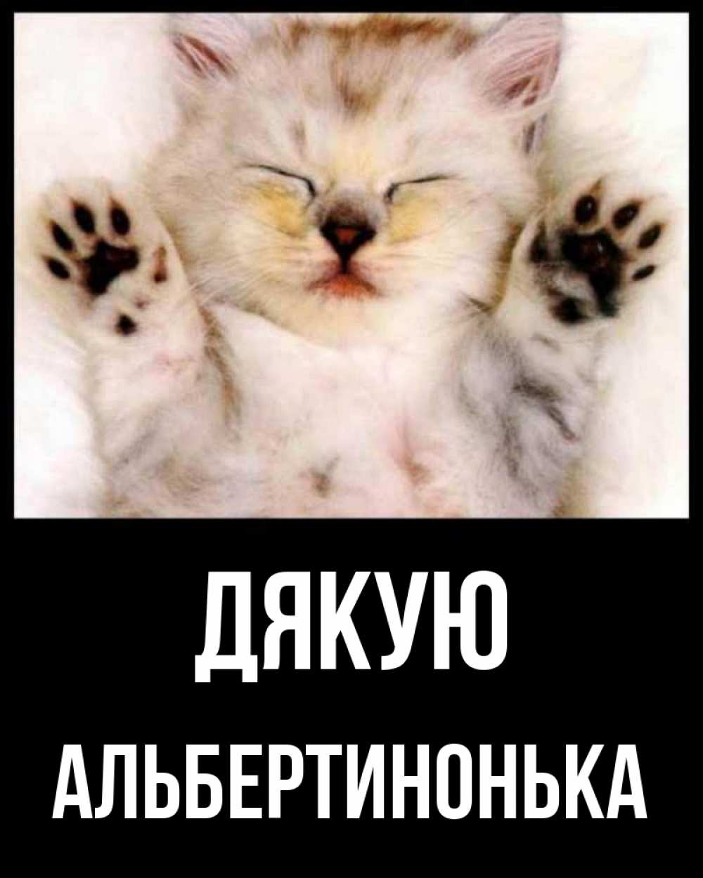 Открытка на каждый день з підписом, Альбертинонька Дякую маленький котенок Прикольна листівка з побажанням онлайн скачати безкоштовно 