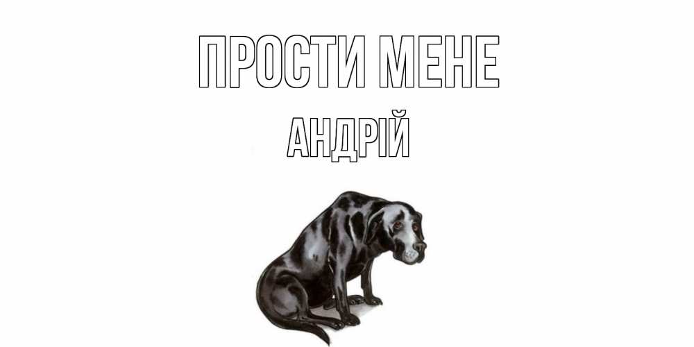 Открытка на каждый день з підписом, Андрій Прости мене грустная собака на открытке с подписью прости меня Прикольна листівка з побажанням онлайн скачати безкоштовно 
