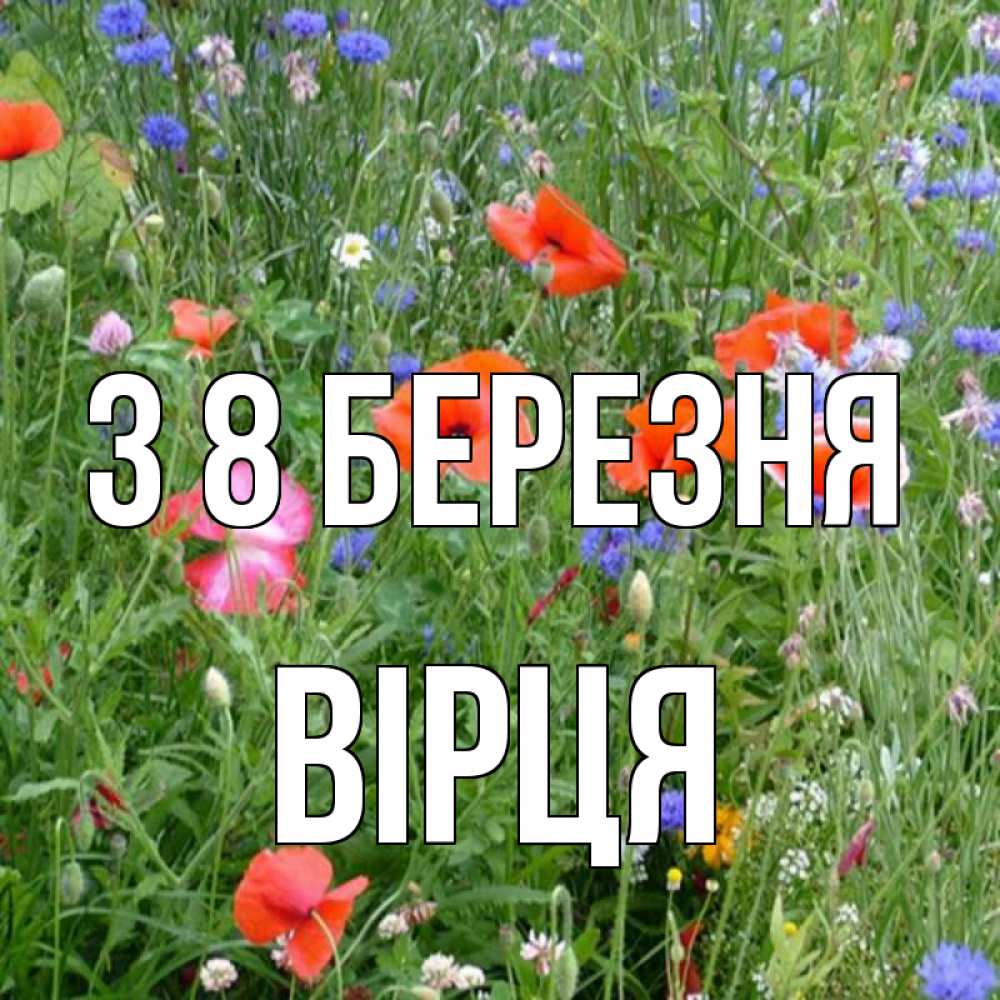 Открытка на каждый день з підписом, Вірця З 8 БЕРЕЗНЯ международный женский день 4 Прикольна листівка з побажанням онлайн скачати безкоштовно 