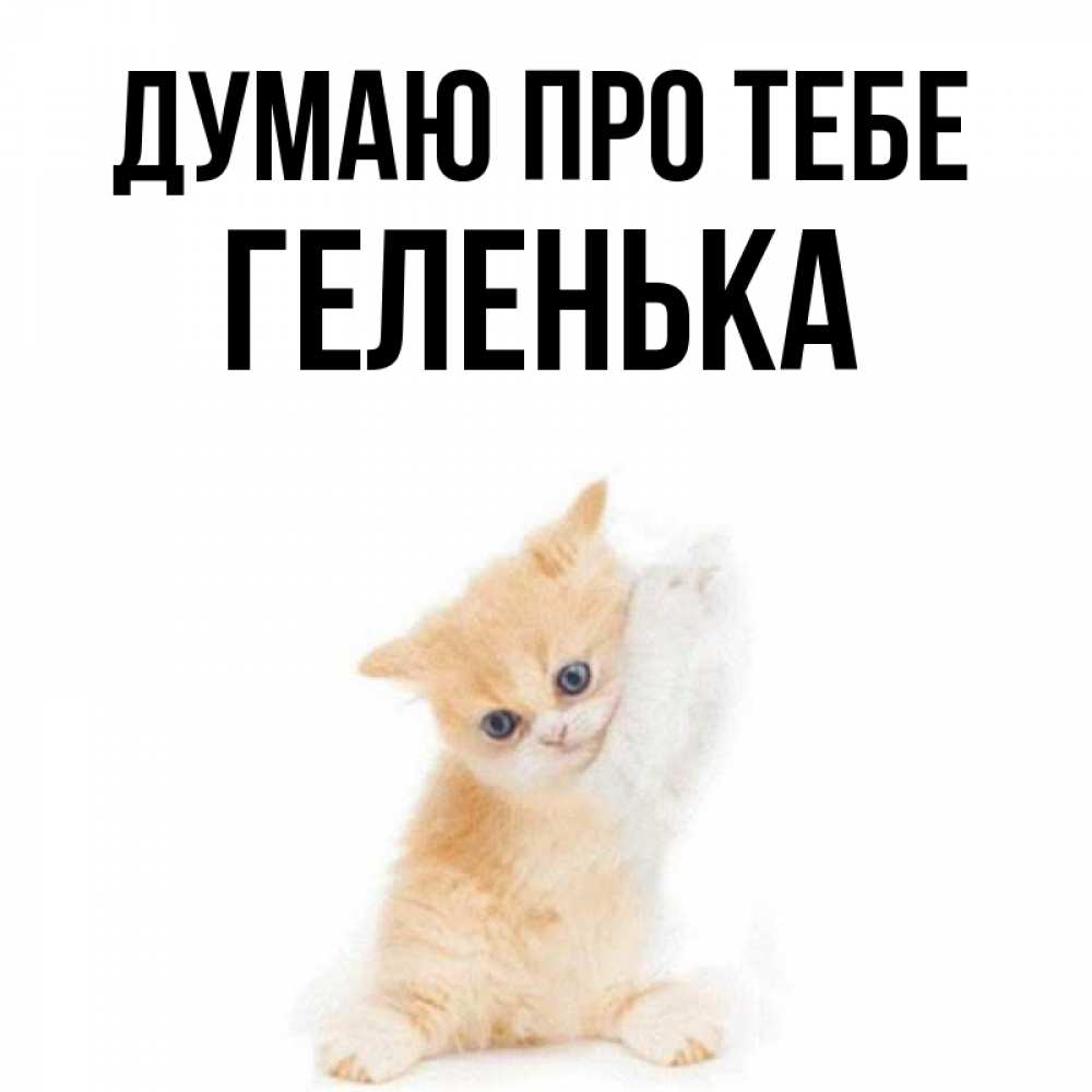 Открытка на каждый день з підписом, Геленька Думаю про тебе зверушки и милота Прикольна листівка з побажанням онлайн скачати безкоштовно 