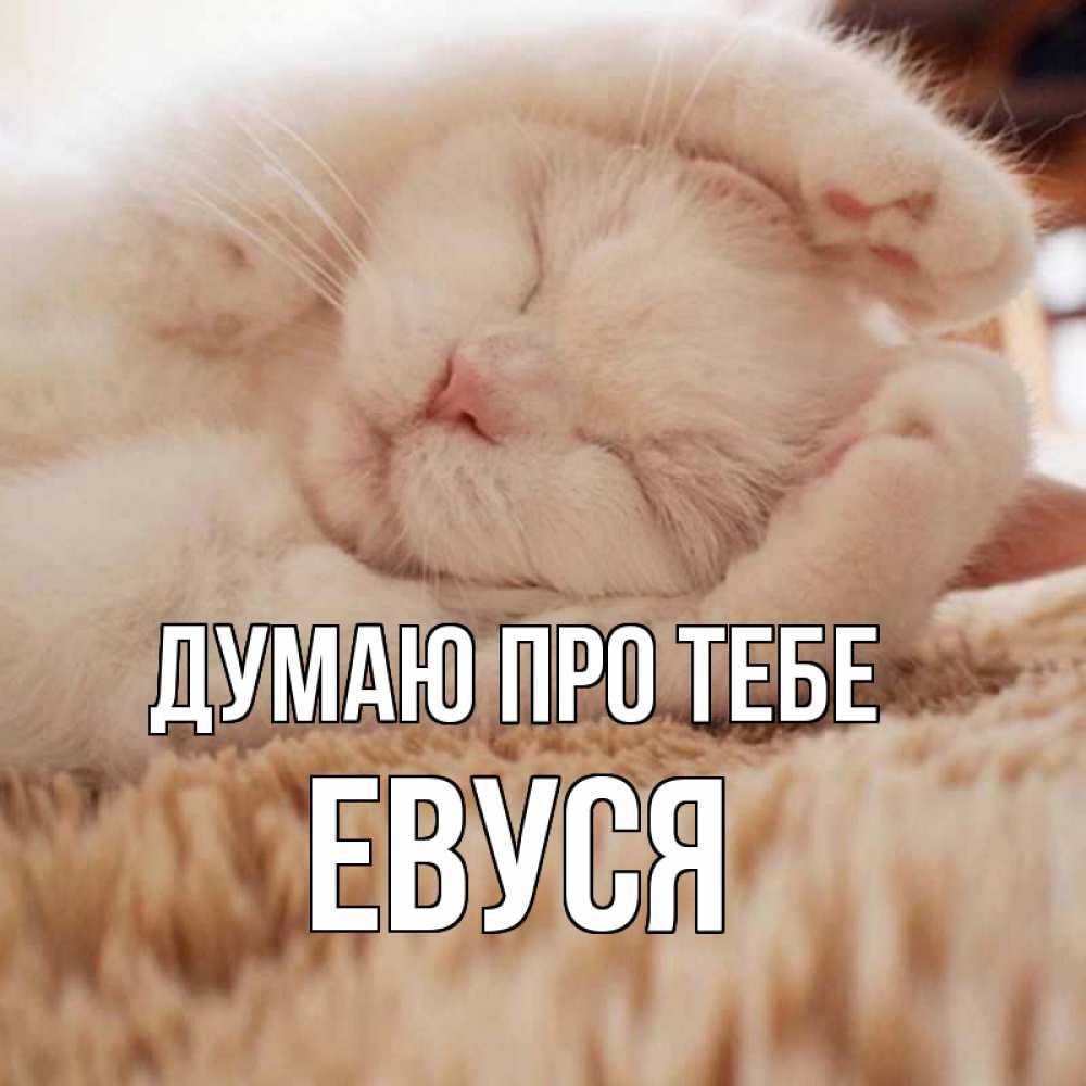 Открытка на каждый день з підписом, Евуся Думаю про тебе для любимой девушки милота Прикольна листівка з побажанням онлайн скачати безкоштовно 