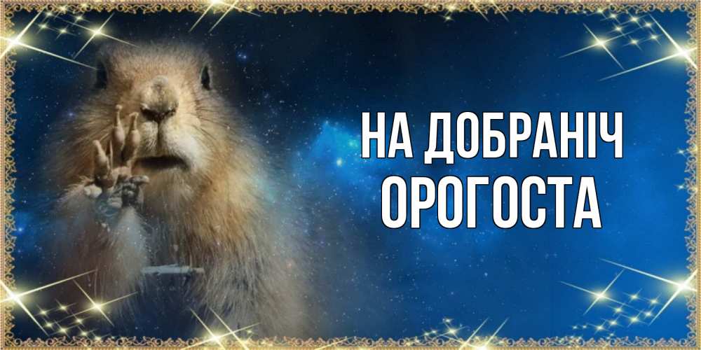 Открытка на каждый день з підписом, Орогоста На добраніч спокойной ночи сладких снов Прикольна листівка з побажанням онлайн скачати безкоштовно 