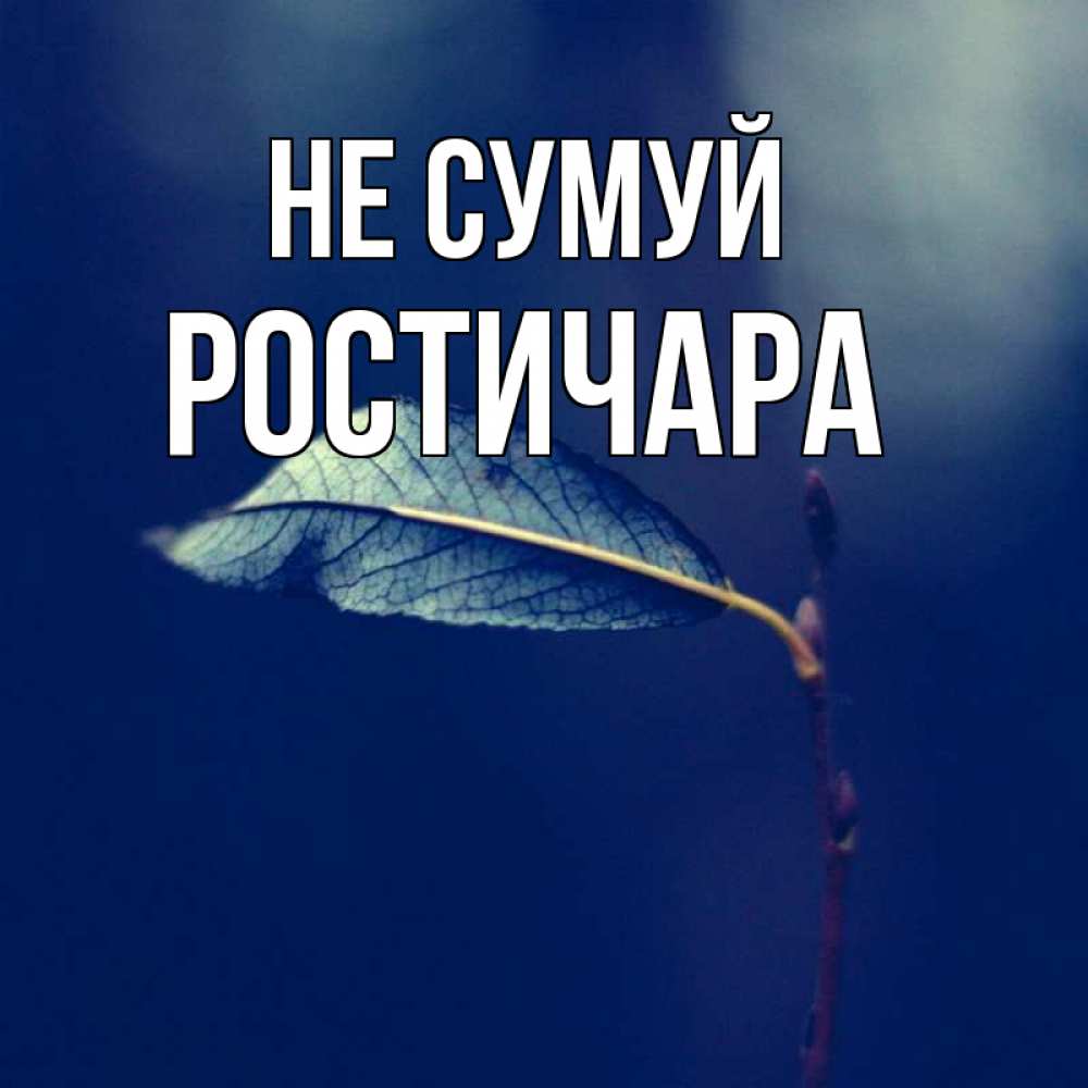 Открытка на каждый день з підписом, Ростичара Не сумуй растение Прикольна листівка з побажанням онлайн скачати безкоштовно 