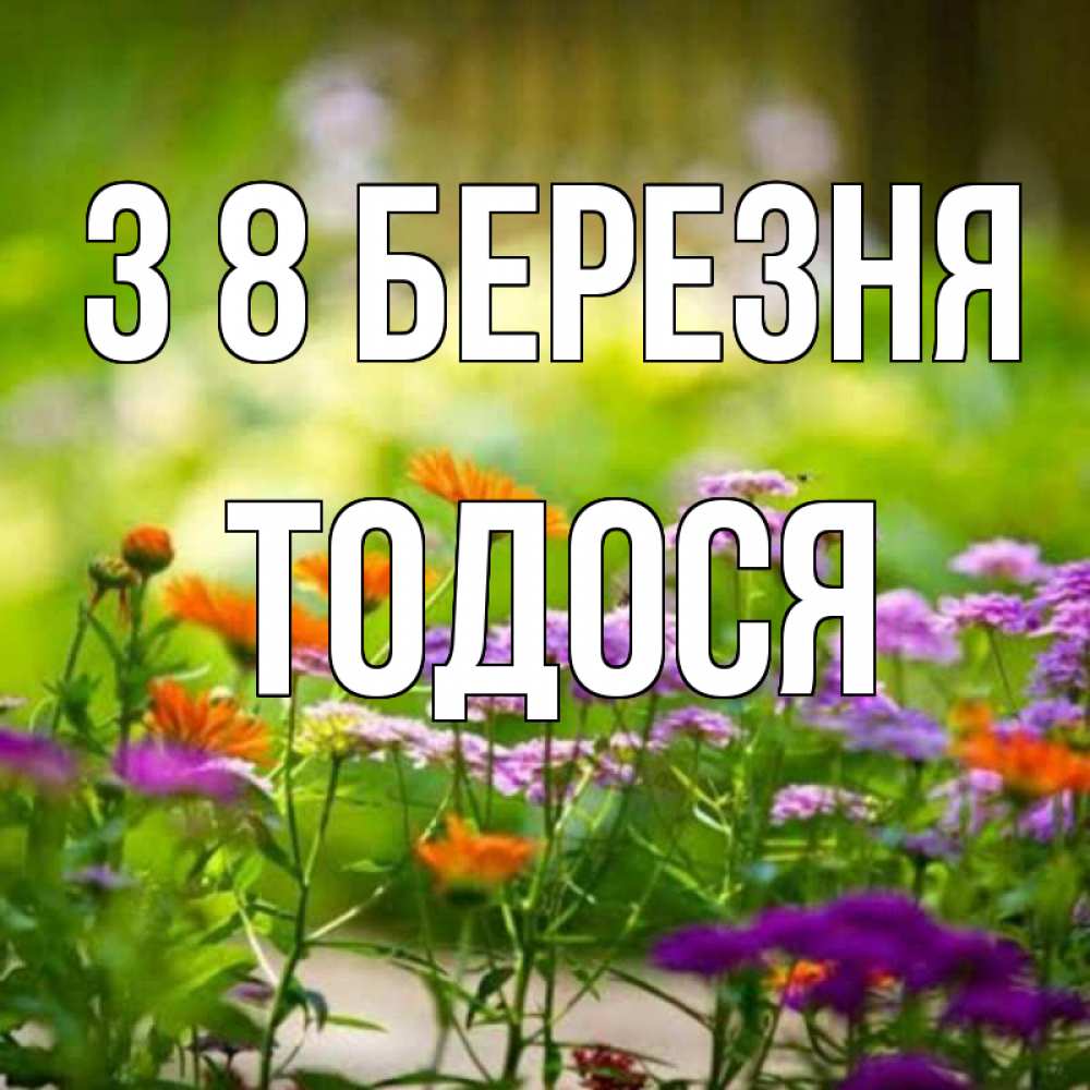 Открытка на каждый день з підписом, Тодося З 8 БЕРЕЗНЯ цветы Прикольна листівка з побажанням онлайн скачати безкоштовно 