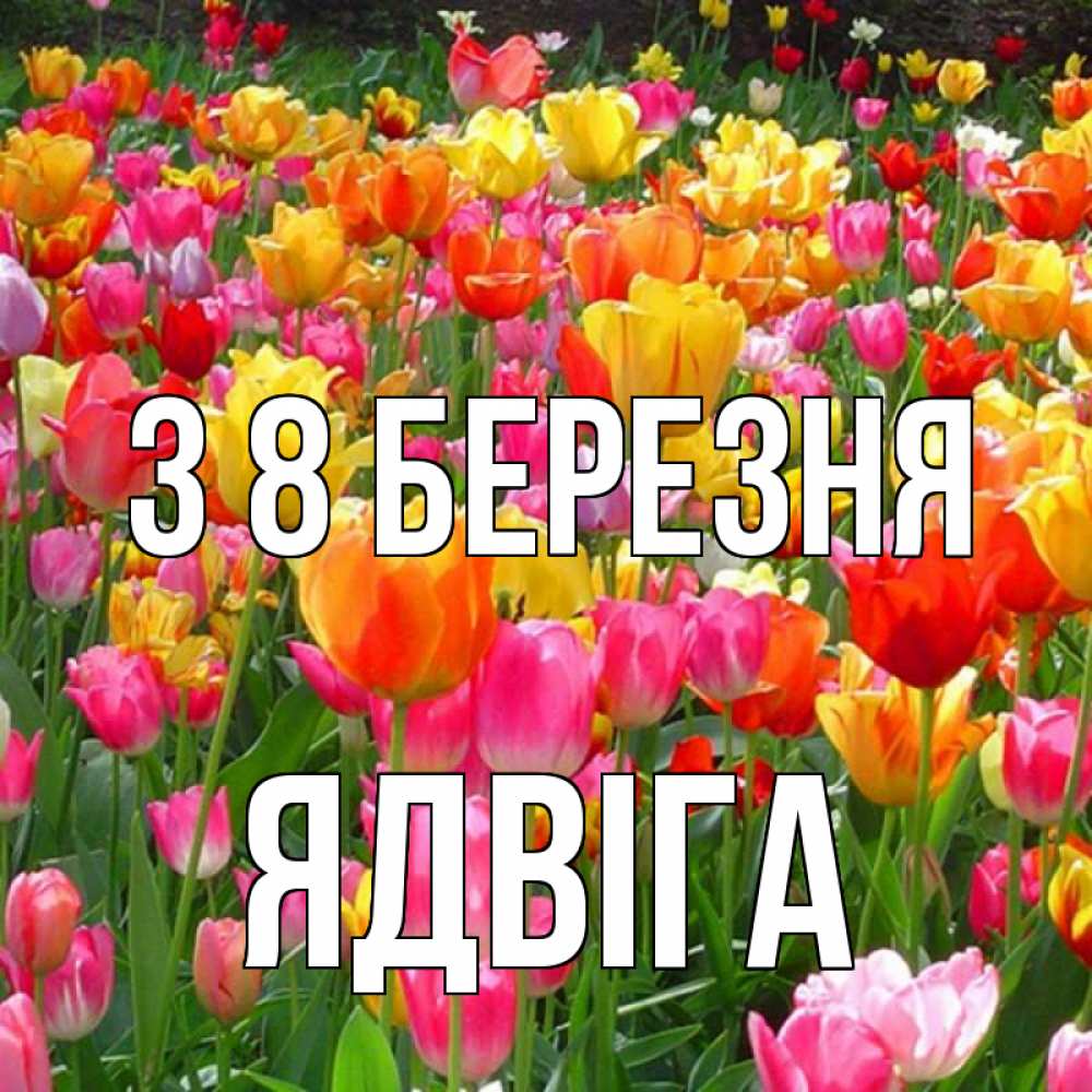 Открытка на каждый день з підписом, Ядвіга З 8 БЕРЕЗНЯ на международный женский день Прикольна листівка з побажанням онлайн скачати безкоштовно 