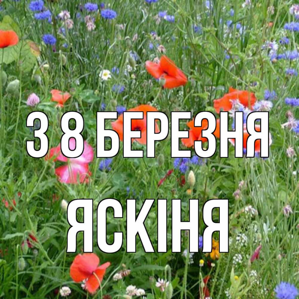 Открытка на каждый день з підписом, Яскіня З 8 БЕРЕЗНЯ международный женский день 4 Прикольна листівка з побажанням онлайн скачати безкоштовно 