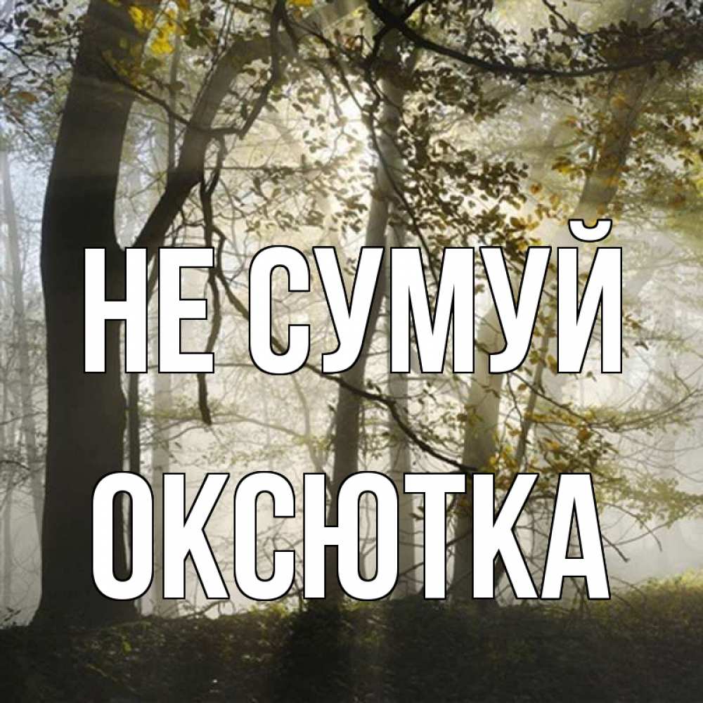 Открытка на каждый день з підписом, Оксютка Не сумуй лес и свет Прикольна листівка з побажанням онлайн скачати безкоштовно 