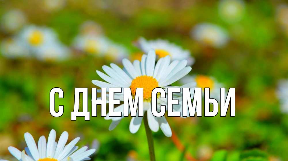 Листівка С днем семьи, 