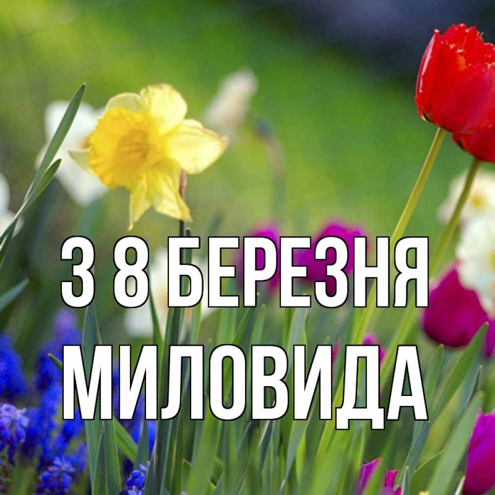 Открытка на каждый день з підписом, Миловида З 8 БЕРЕЗНЯ международный женский день 3 Прикольна листівка з побажанням онлайн скачати безкоштовно 