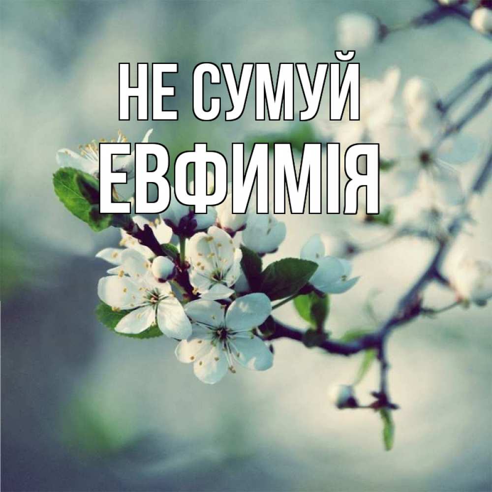Открытка на каждый день з підписом, Евфимiя Не сумуй яблоня в цвету 1 Прикольна листівка з побажанням онлайн скачати безкоштовно 