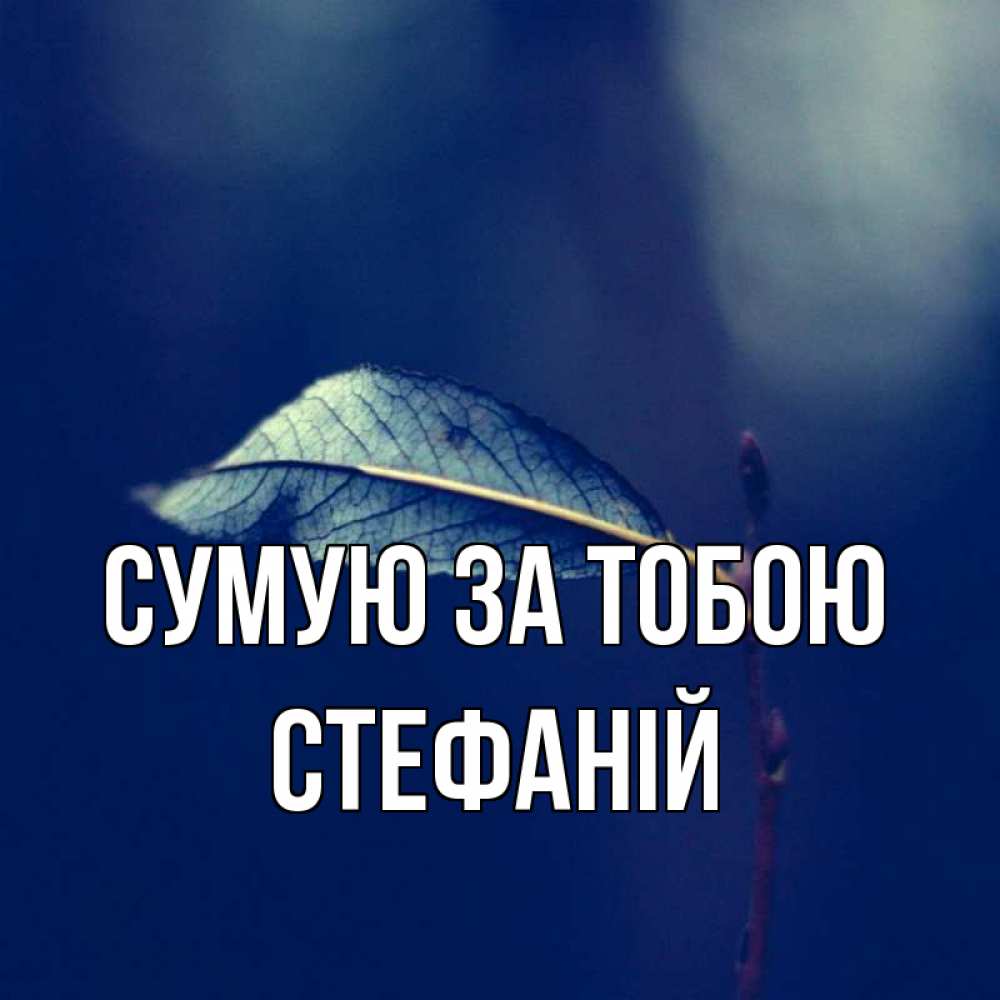 Открытка на каждый день з підписом, Стефаній Сумую за тобою одна ветка 1 Прикольна листівка з побажанням онлайн скачати безкоштовно 