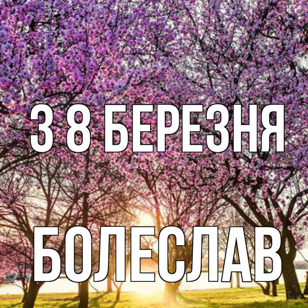 Открытка на каждый день з підписом, Болеслав З 8 БЕРЕЗНЯ международный женский день Прикольна листівка з побажанням онлайн скачати безкоштовно 