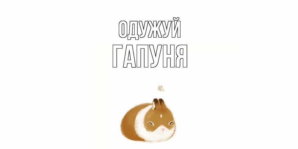 Открытка на каждый день з підписом, Гапуня Одужуй морская свинка на открытке с пожеланиями не болеть Прикольна листівка з побажанням онлайн скачати безкоштовно 