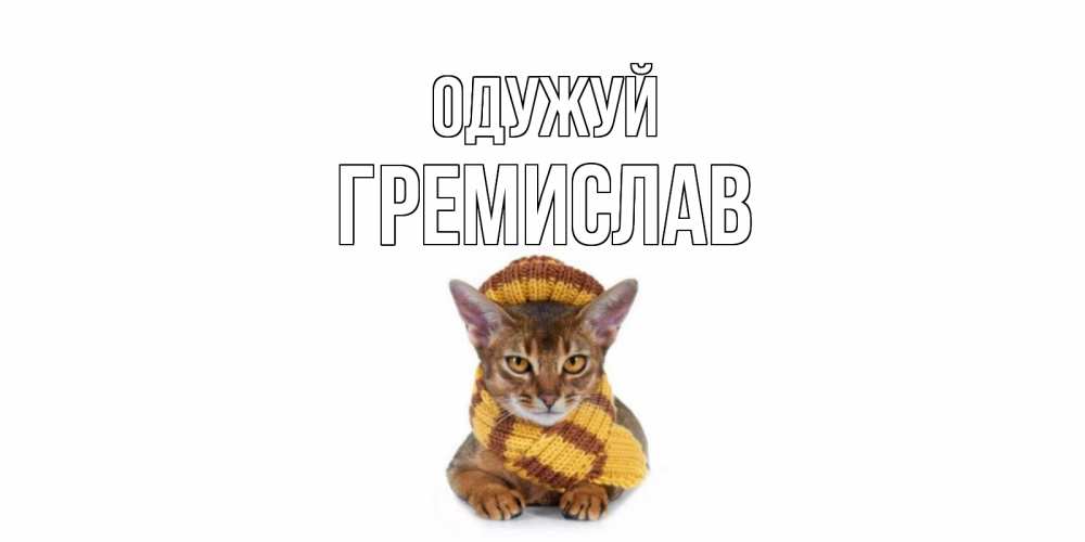 Открытка на каждый день з підписом, Гремислав Одужуй родные не болейте Прикольна листівка з побажанням онлайн скачати безкоштовно 