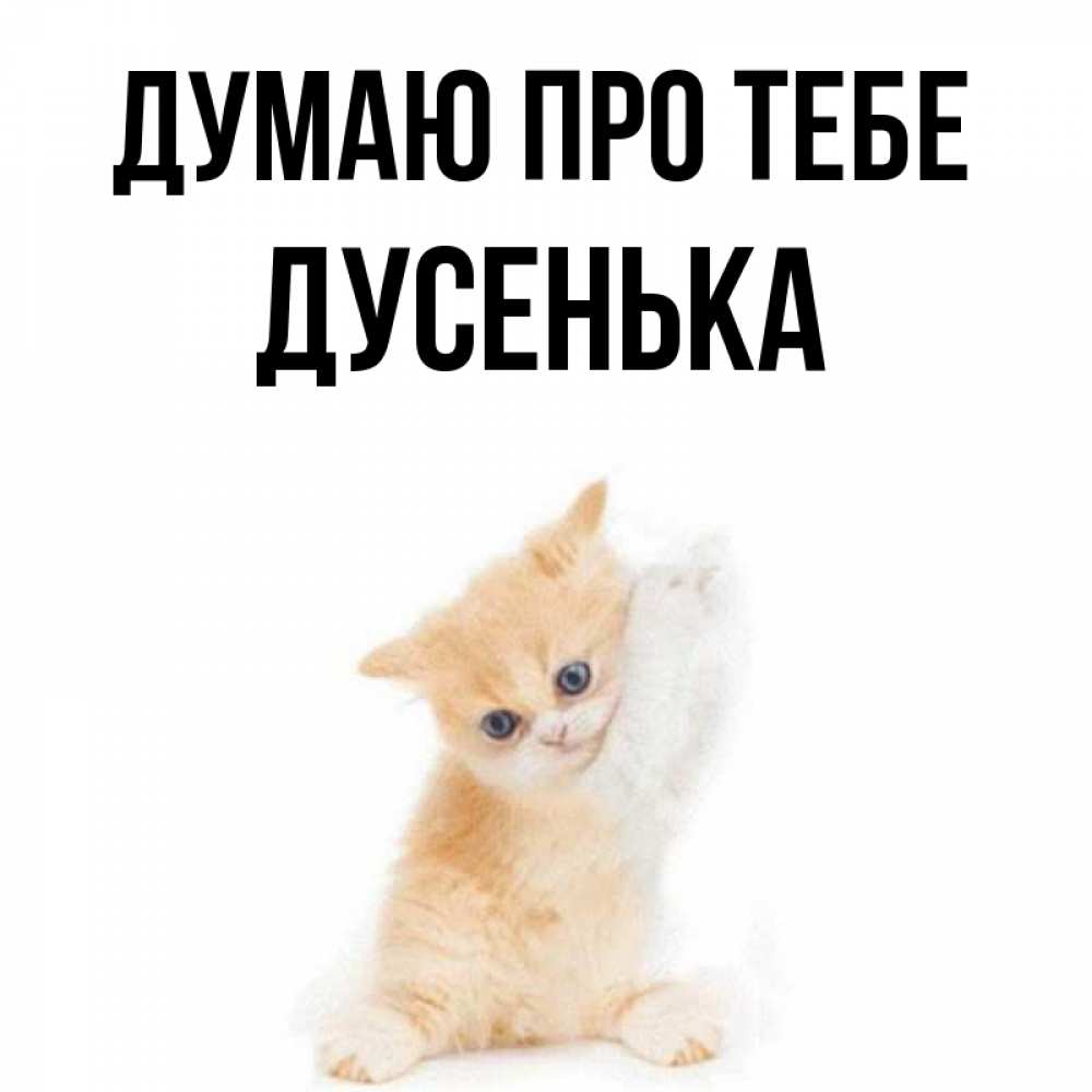 Открытка на каждый день з підписом, Дусенька Думаю про тебе зверушки и милота Прикольна листівка з побажанням онлайн скачати безкоштовно 