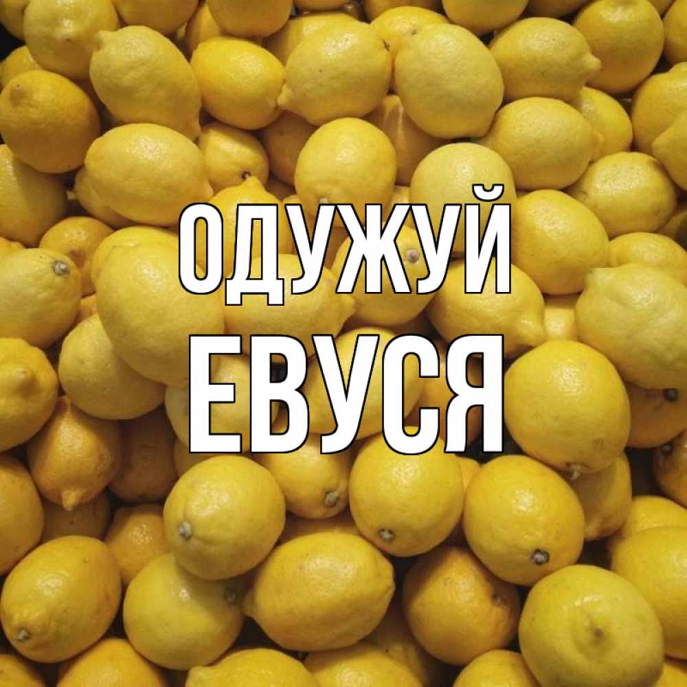 Открытка на каждый день з підписом, Евуся Одужуй это точно поможет Прикольна листівка з побажанням онлайн скачати безкоштовно 