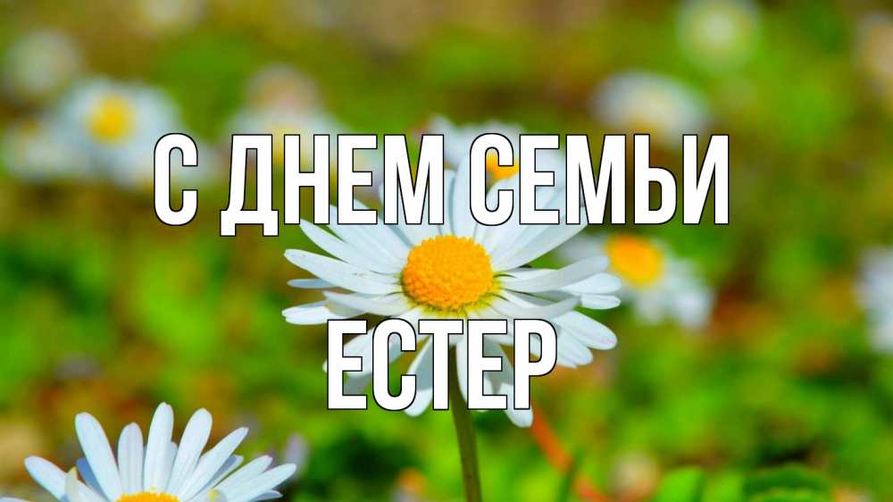 Открытка на каждый день з підписом, Естер С днем семьи с днем семьи Прикольна листівка з побажанням онлайн скачати безкоштовно 