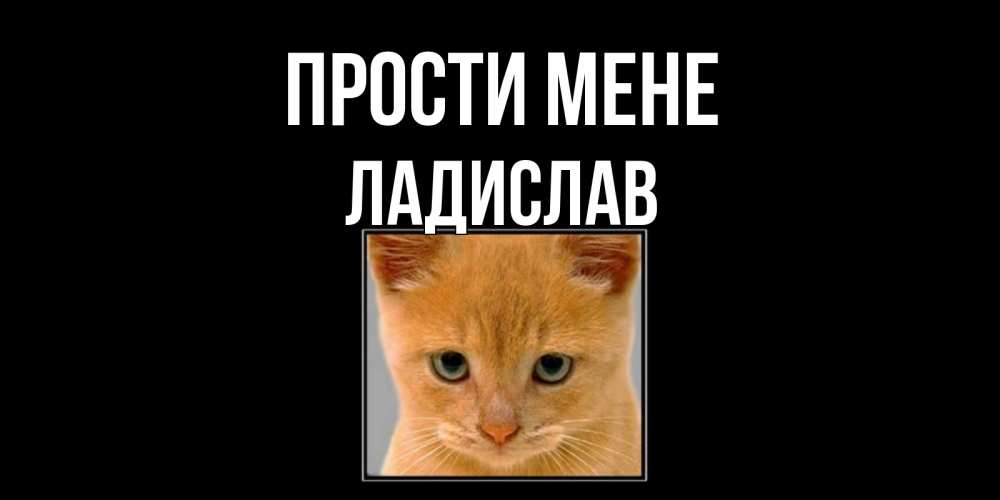 Открытка на каждый день з підписом, Ладислав Прости мене рыжий грустный кот просит прощения Прикольна листівка з побажанням онлайн скачати безкоштовно 
