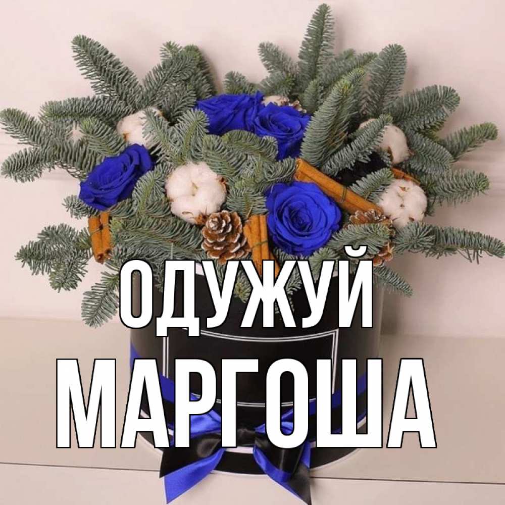 Открытка на каждый день з підписом, Маргоша Одужуй короче кто то загрузил эти шишки Прикольна листівка з побажанням онлайн скачати безкоштовно 