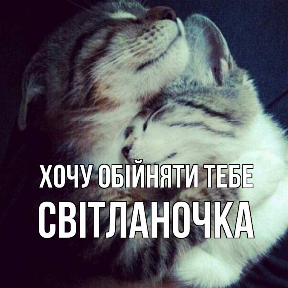 Открытка на каждый день з підписом, Світланочка Хочу обійняти тебе полосатики Прикольна листівка з побажанням онлайн скачати безкоштовно 