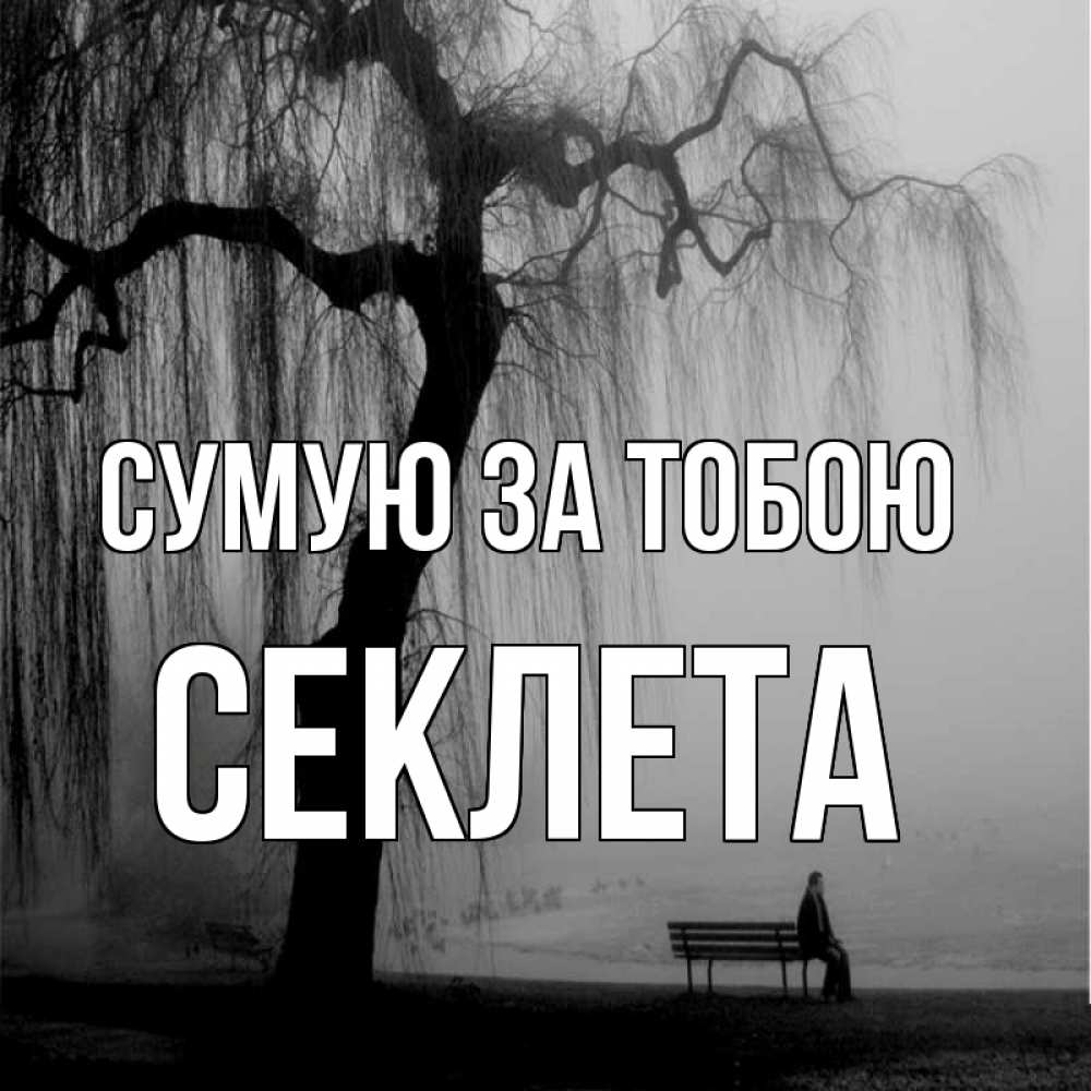 Открытка на каждый день з підписом, Секлета Сумую за тобою лавочка под деревом я жду тебя Прикольна листівка з побажанням онлайн скачати безкоштовно 
