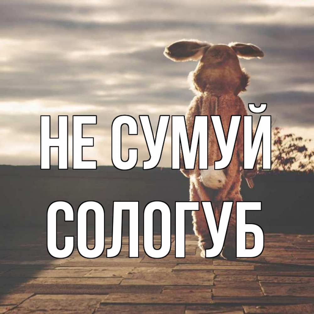Открытка на каждый день з підписом, Сологуб Не сумуй со спины Прикольна листівка з побажанням онлайн скачати безкоштовно 