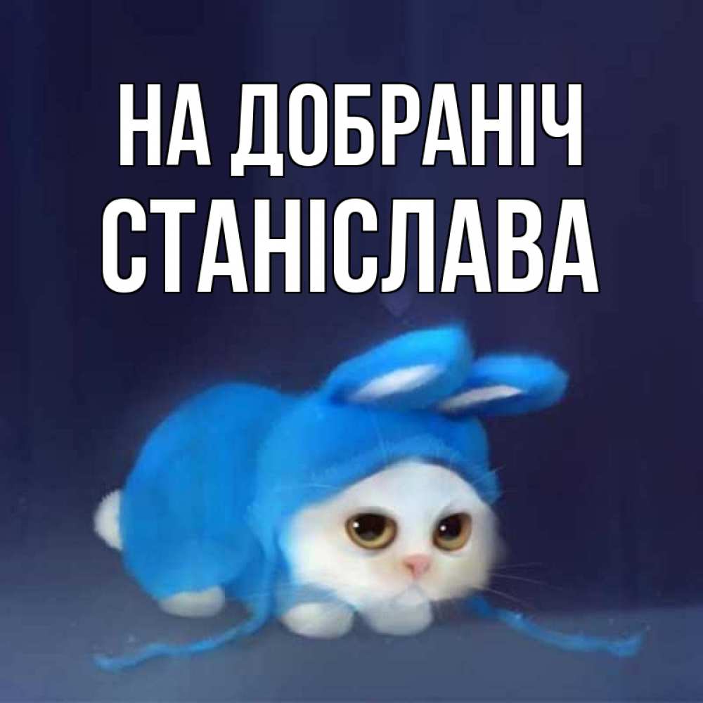 Открытка на каждый день з підписом, Станіслава На добраніч кот в голубом костюме кролика с ушками Прикольна листівка з побажанням онлайн скачати безкоштовно 