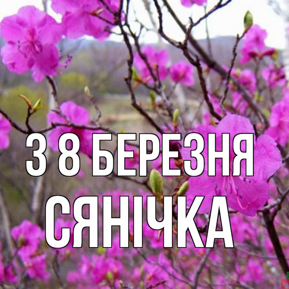 Открытка на каждый день з підписом, Сянічка З 8 БЕРЕЗНЯ международный женский день Прикольна листівка з побажанням онлайн скачати безкоштовно 