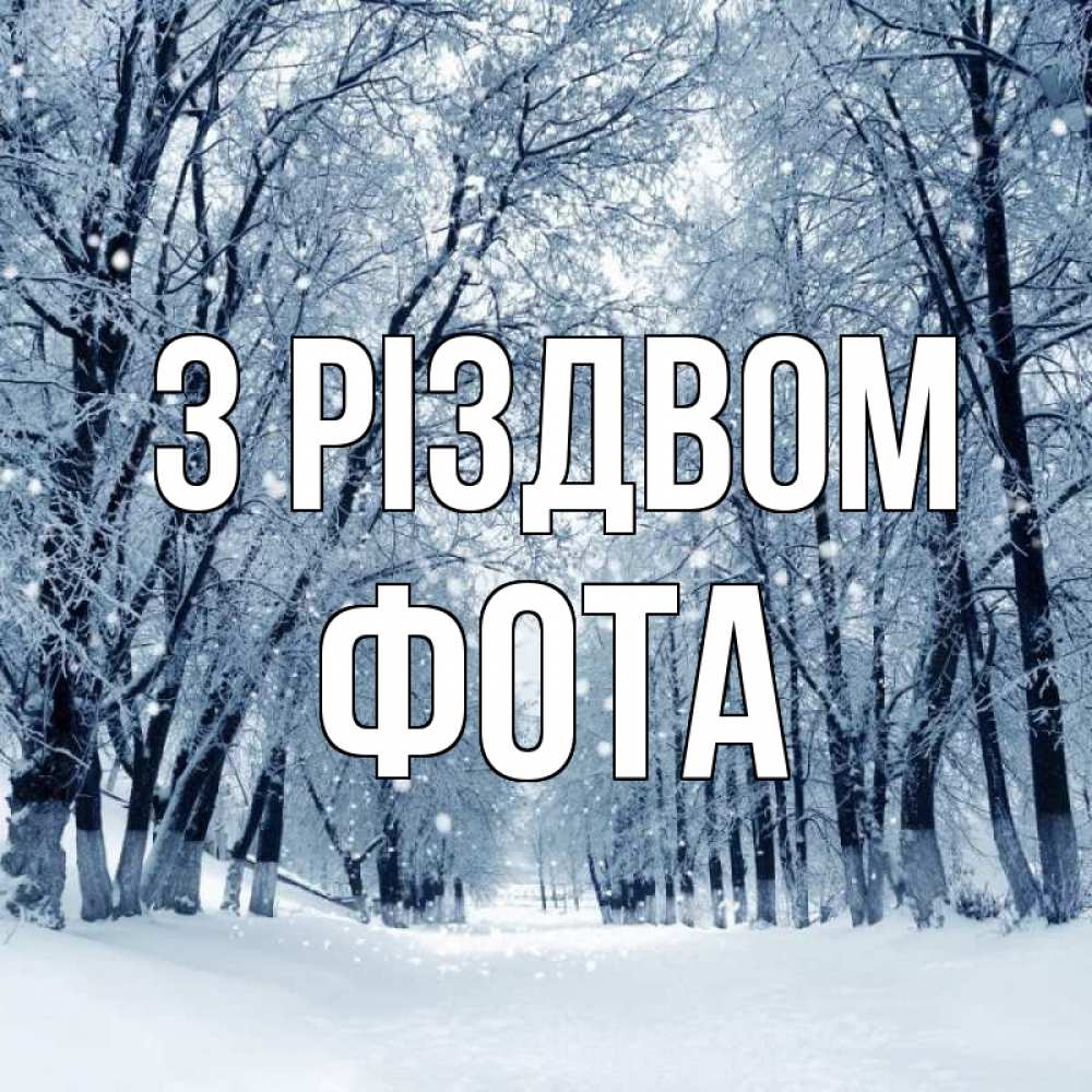 Открытка на каждый день з підписом, Фота З Різдвом снег, лес, парк Прикольна листівка з побажанням онлайн скачати безкоштовно 