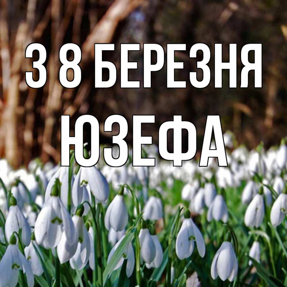 Открытка на каждый день з підписом, Юзефа З 8 БЕРЕЗНЯ с подснежниками 1 Прикольна листівка з побажанням онлайн скачати безкоштовно 