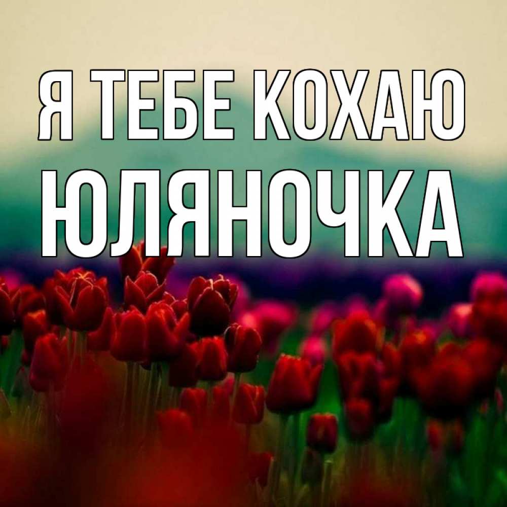 Открытка на каждый день з підписом, Юляночка Я тебе кохаю тюльпаны 4 Прикольна листівка з побажанням онлайн скачати безкоштовно 