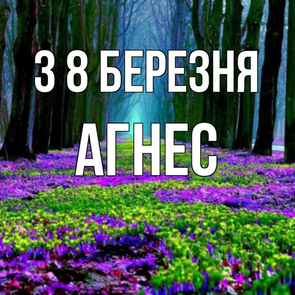 Открытка на каждый день з підписом, Агнес З 8 БЕРЕЗНЯ фиолетовые цветы в лесу 1 Прикольна листівка з побажанням онлайн скачати безкоштовно 