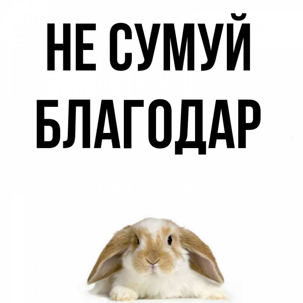 Открытка на каждый день з підписом, Благодар Не сумуй коричнево белый заяц с большими ушками Прикольна листівка з побажанням онлайн скачати безкоштовно 