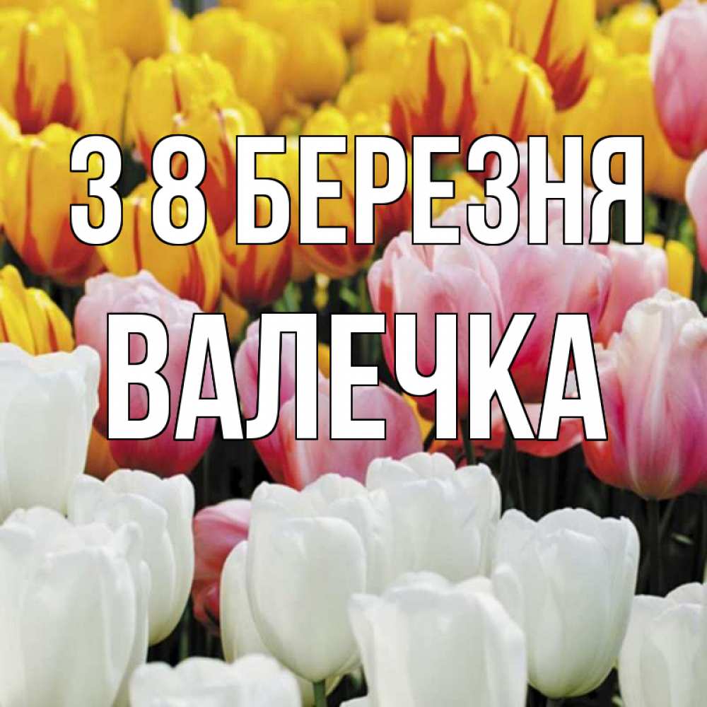 Открытка на каждый день з підписом, Валечка З 8 БЕРЕЗНЯ разноцветные цветы Прикольна листівка з побажанням онлайн скачати безкоштовно 