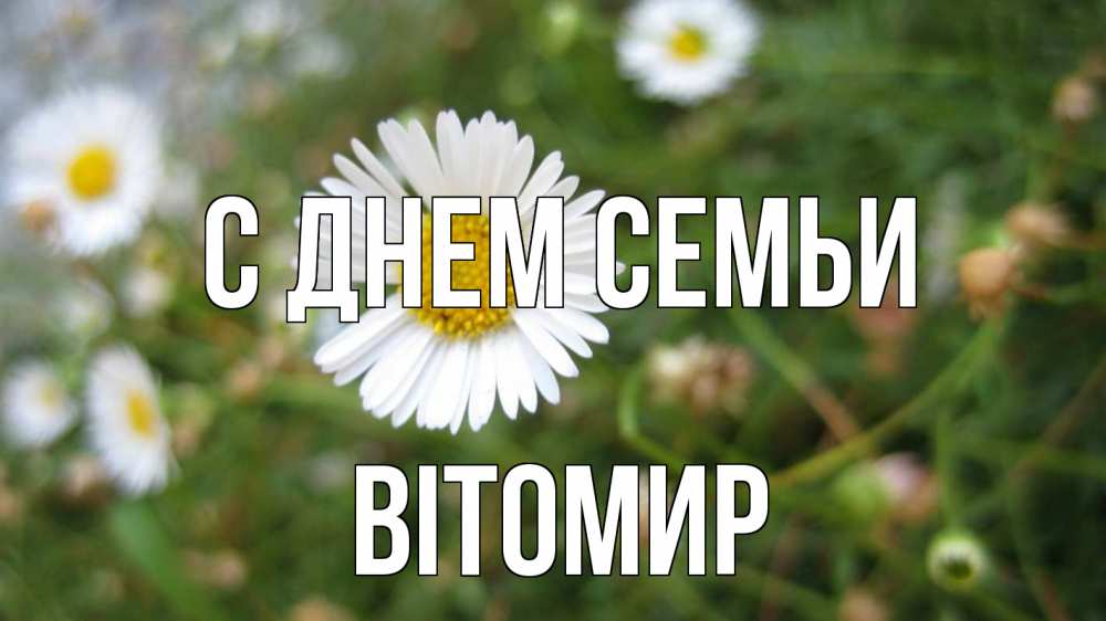 Открытка на каждый день з підписом, Вітомир С днем семьи с днем семьи Прикольна листівка з побажанням онлайн скачати безкоштовно 