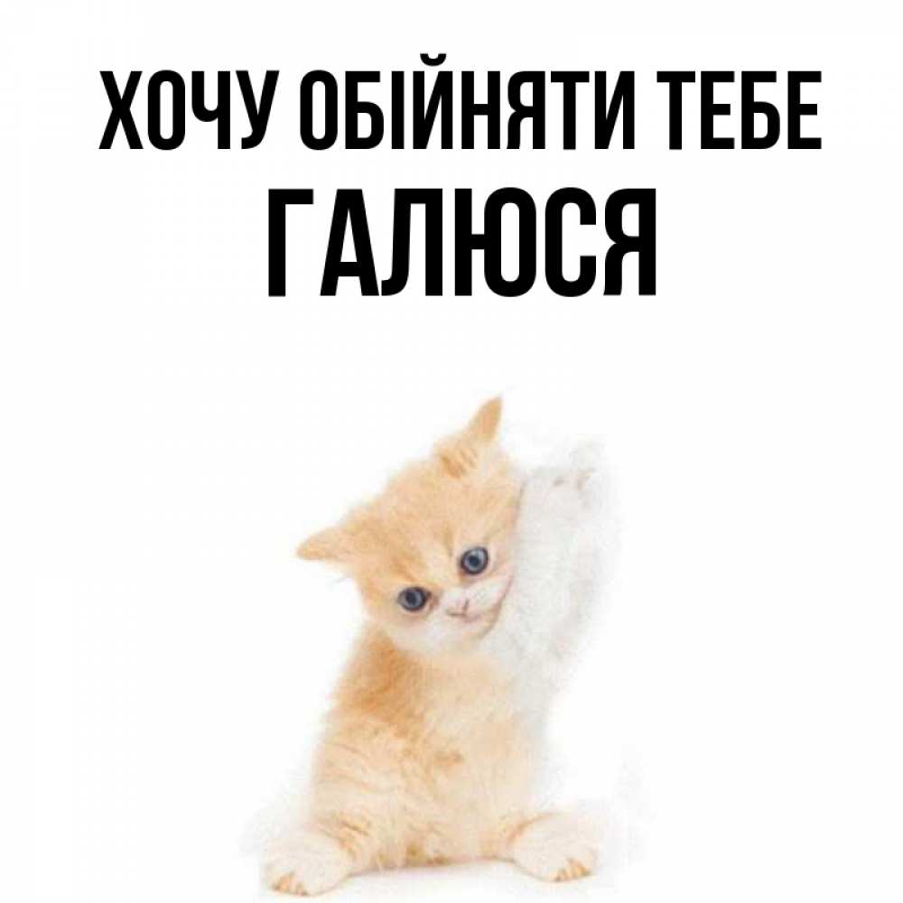 Открытка на каждый день з підписом, Галюся Хочу обійняти тебе я хочу очень скорее обнимаешек Прикольна листівка з побажанням онлайн скачати безкоштовно 