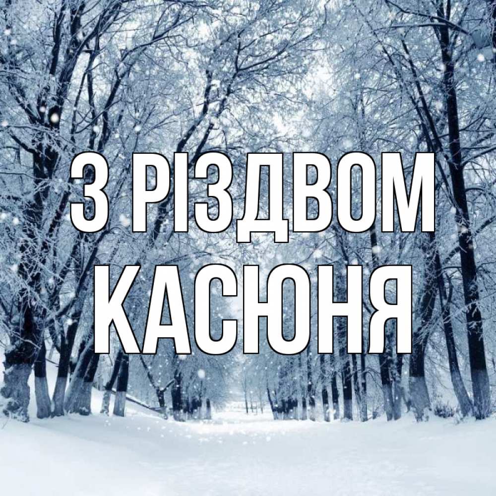 Открытка на каждый день з підписом, Касюня З Різдвом снег, лес, парк Прикольна листівка з побажанням онлайн скачати безкоштовно 