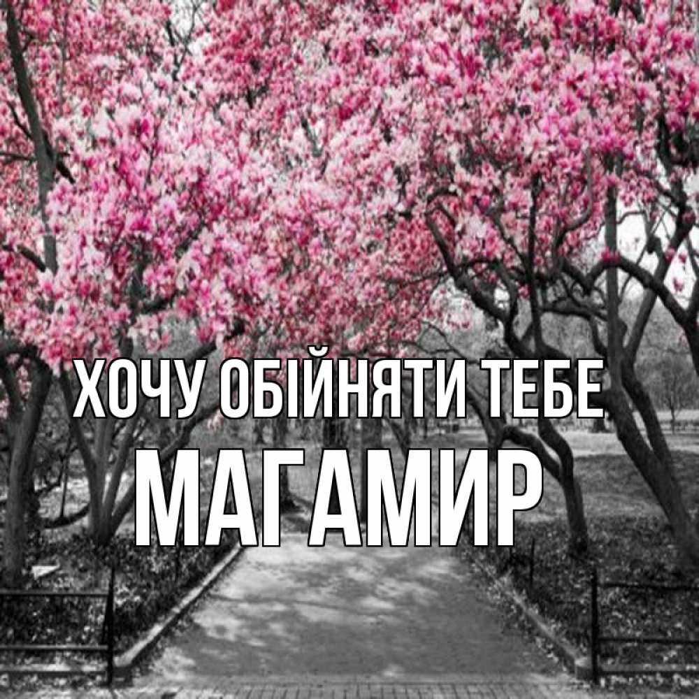 Открытка на каждый день з підписом, Магамир Хочу обійняти тебе обработанное фото Прикольна листівка з побажанням онлайн скачати безкоштовно 