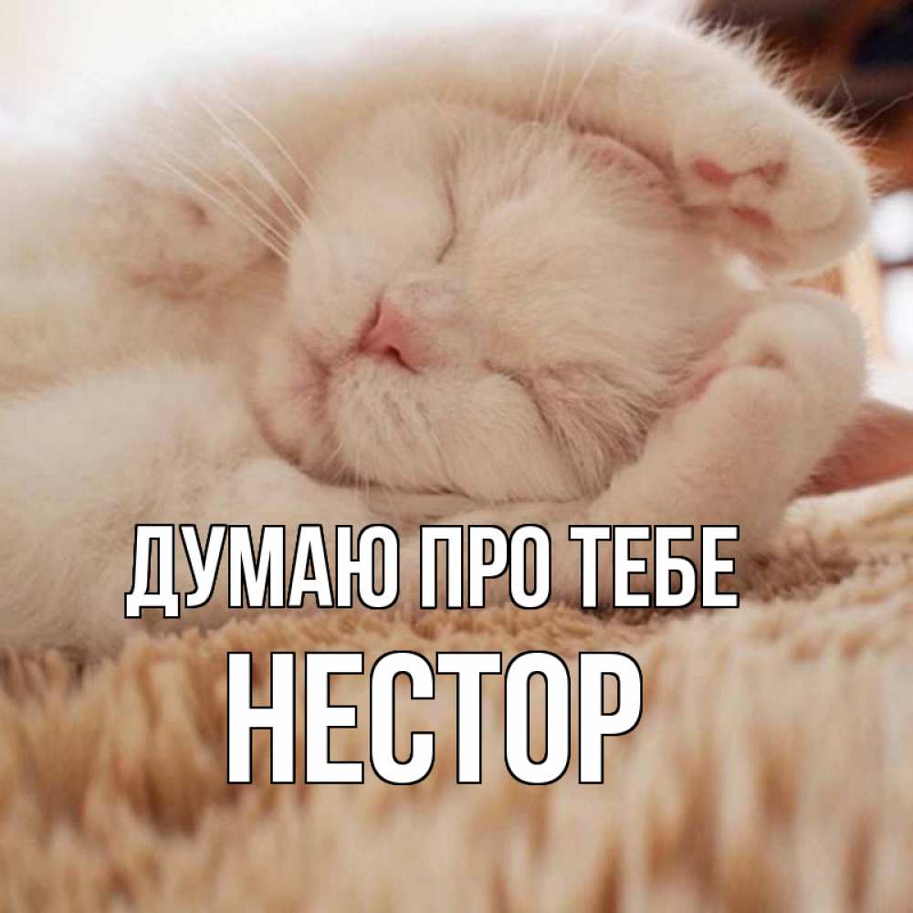 Открытка на каждый день з підписом, Нестор Думаю про тебе для любимой девушки милота Прикольна листівка з побажанням онлайн скачати безкоштовно 
