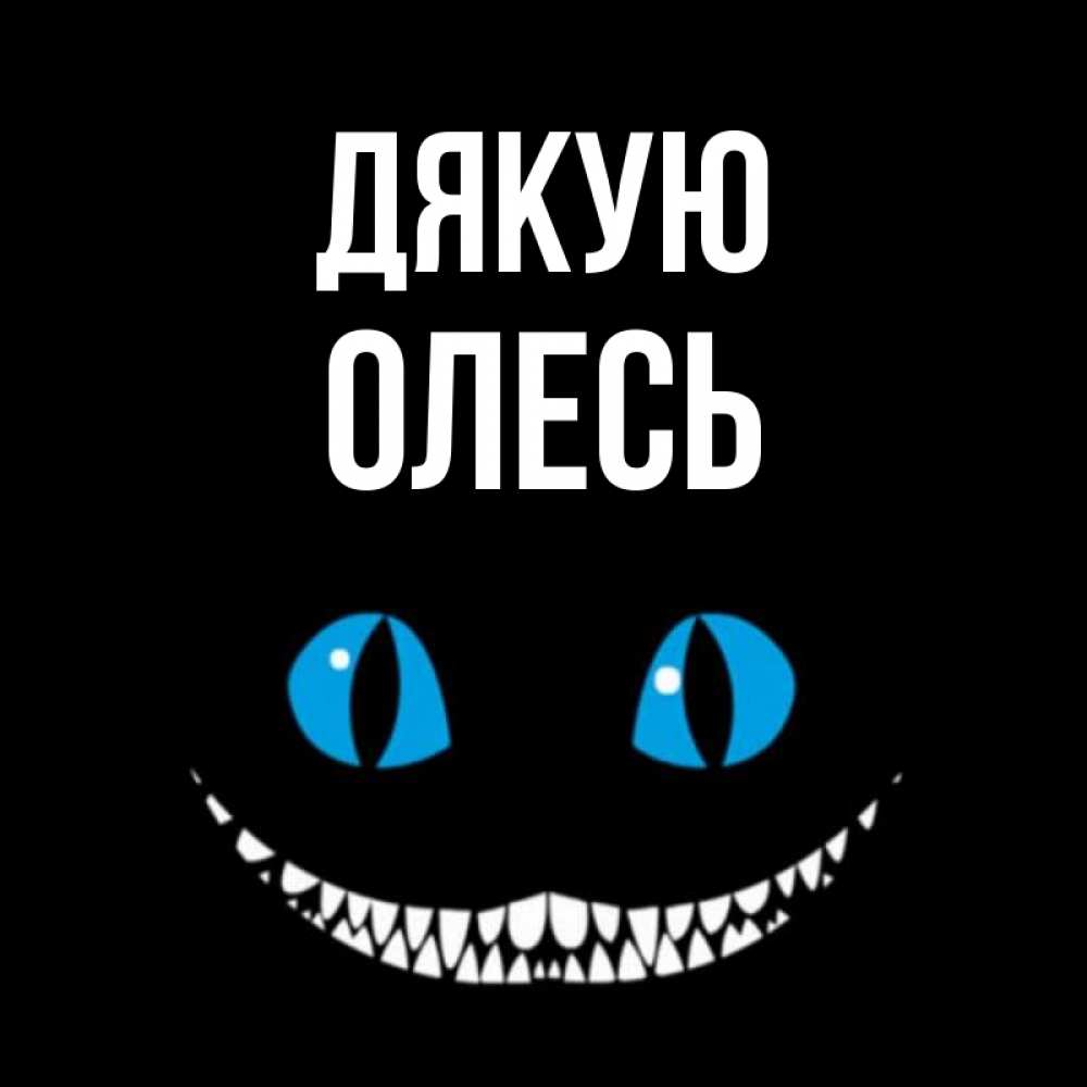 Открытка на каждый день з підписом, Олесь Дякую благодарю от чеширика Прикольна листівка з побажанням онлайн скачати безкоштовно 