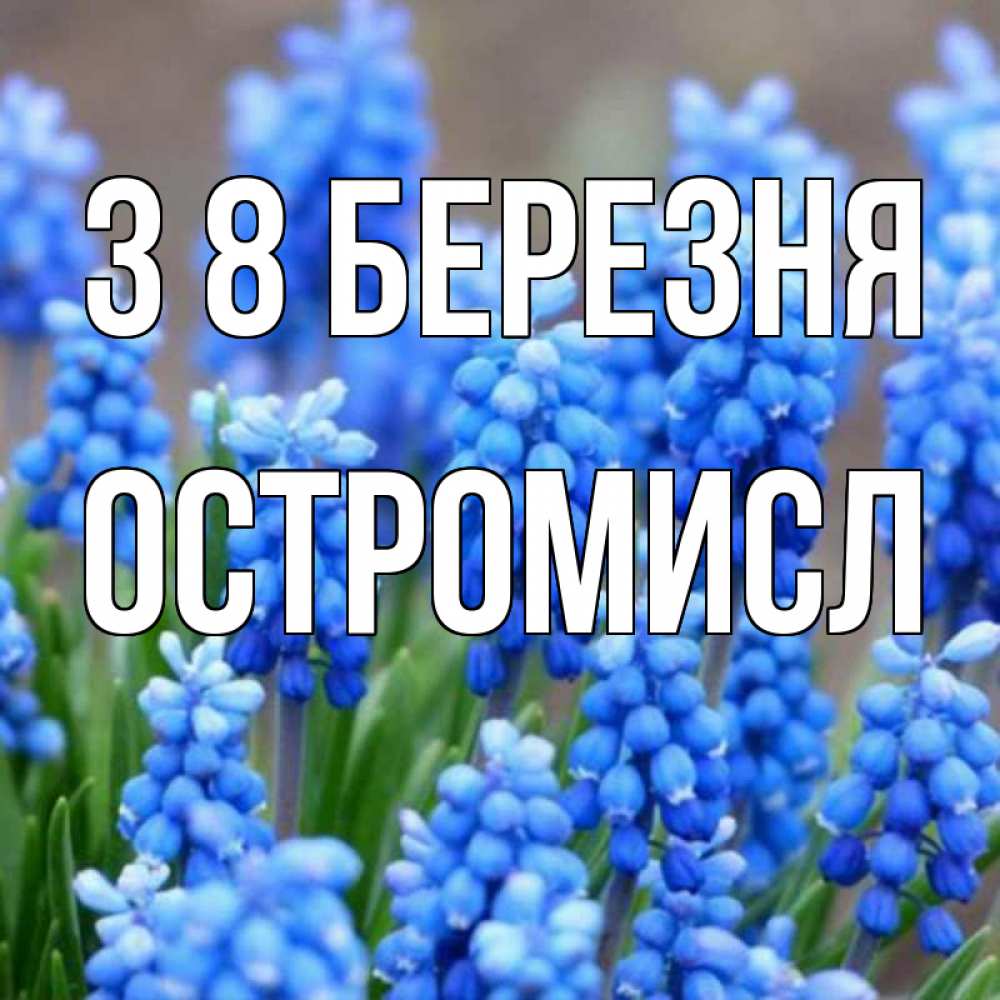 Открытка на каждый день з підписом, Остромисл З 8 БЕРЕЗНЯ Поздравительная открытка для женщин с цветами на праздничную дату Прикольна листівка з побажанням онлайн скачати безкоштовно 
