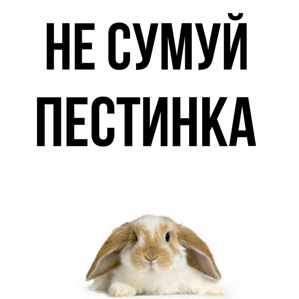 Открытка на каждый день з підписом, Пестинка Не сумуй коричнево белый заяц с большими ушками Прикольна листівка з побажанням онлайн скачати безкоштовно 