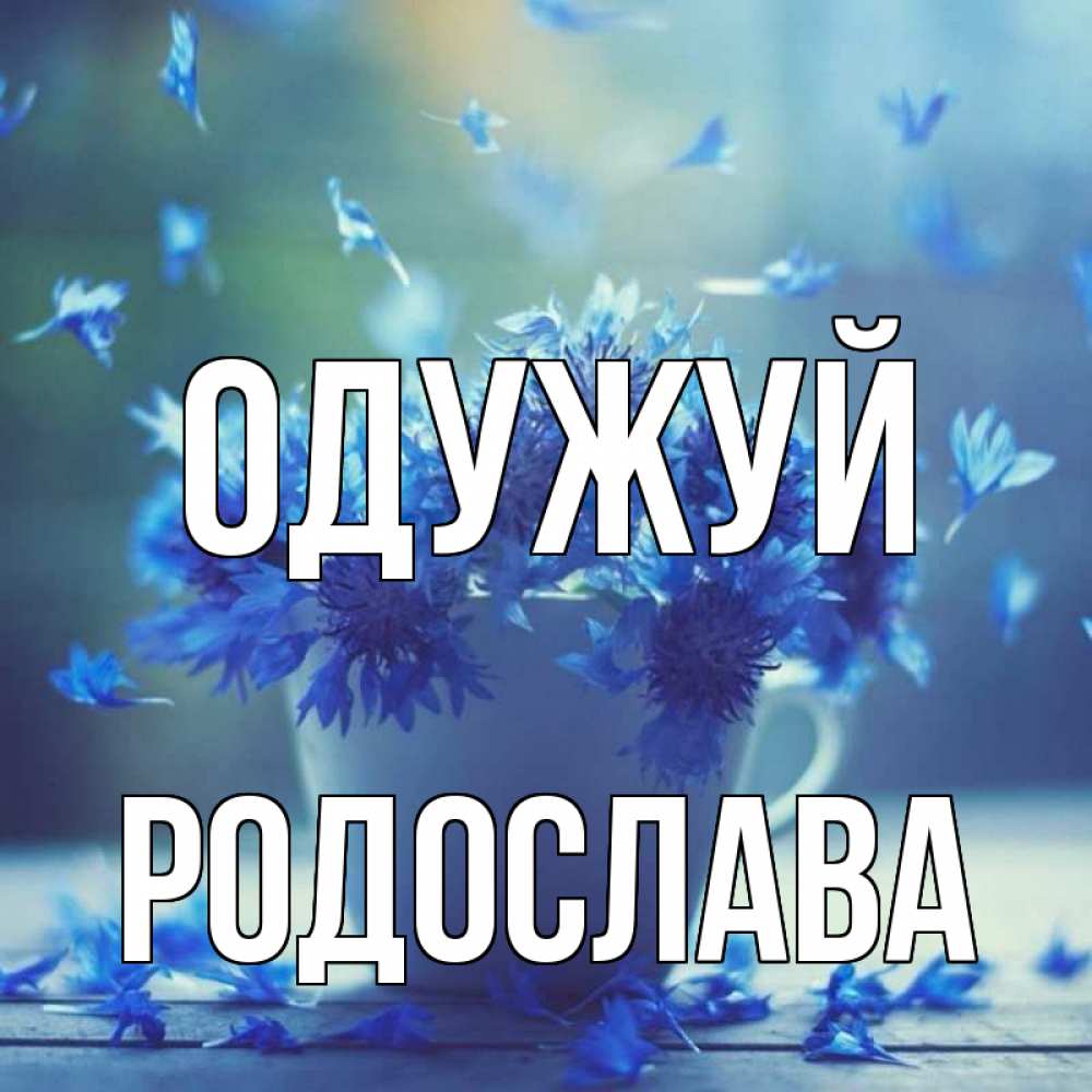 Открытка на каждый день з підписом, Родослава Одужуй кружка с зельем и цветами Прикольна листівка з побажанням онлайн скачати безкоштовно 