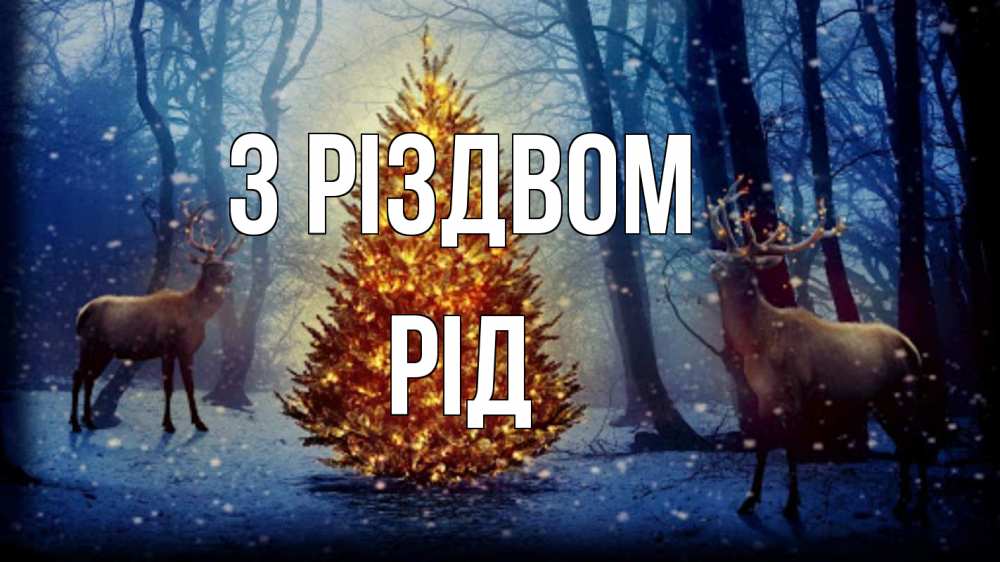 Открытка на каждый день з підписом, Рід З Різдвом олени, новогодняя елка Прикольна листівка з побажанням онлайн скачати безкоштовно 
