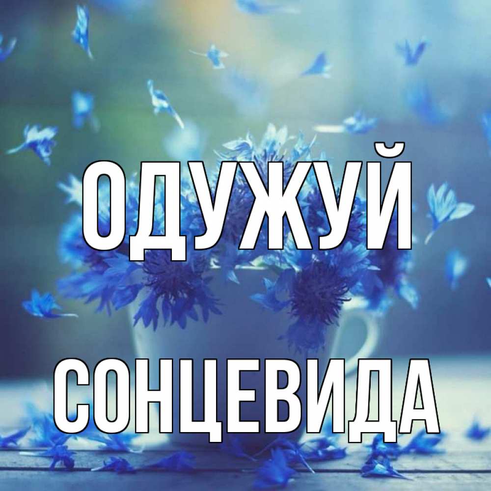Открытка на каждый день з підписом, Сонцевида Одужуй кружка с зельем и цветами Прикольна листівка з побажанням онлайн скачати безкоштовно 
