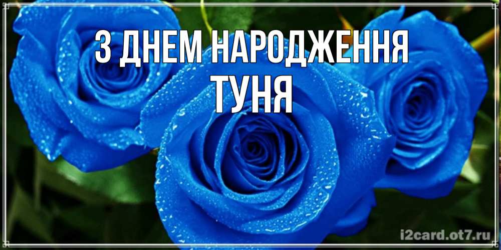 Открытка на каждый день з підписом, Туня З Днем народження розы с синим цветом Прикольна листівка з побажанням онлайн скачати безкоштовно 